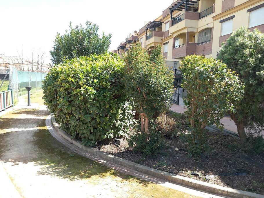 El Nido Del Nomada Apartment Atarfe Exterior foto